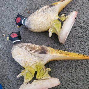 2 Napoware birds in perfect condition